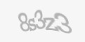 รหัสป้องกันความปลอดภัย